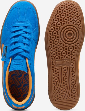 PUMA Sneaker 'Palermo' in Blau