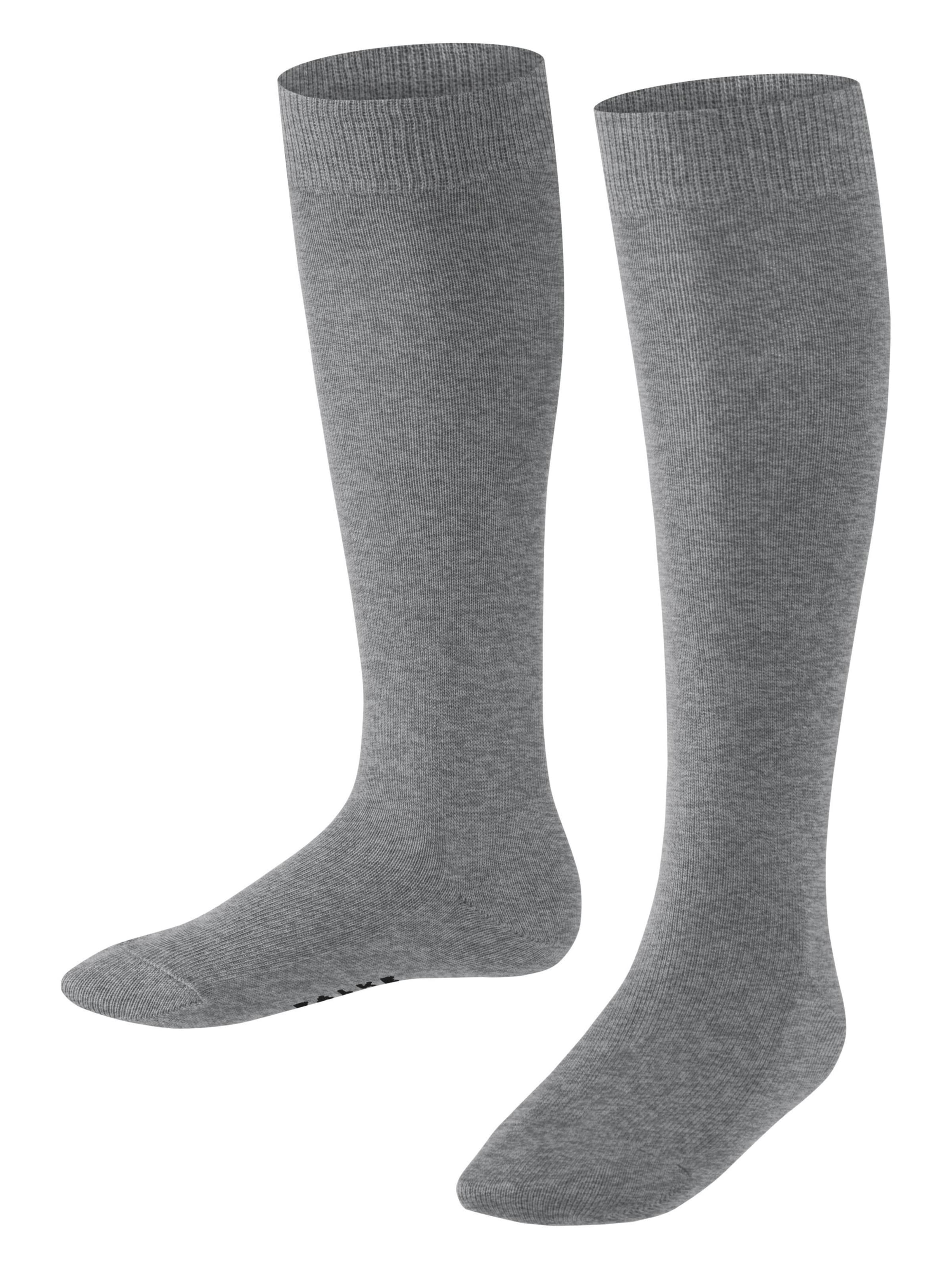 FALKE Socks 'Family' in Grey: front