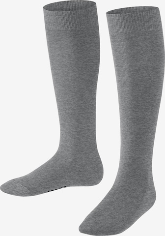 FALKE Socks 'Family' in Grey: front
