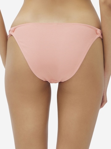 Penti Dół bikini w kolorze różowy