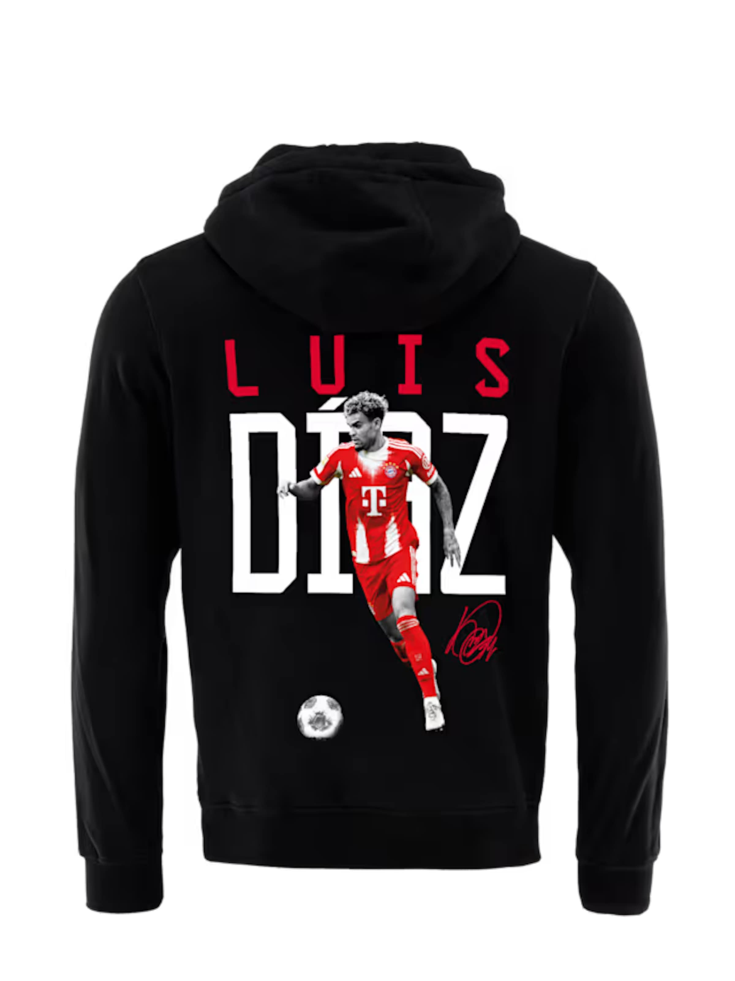 FC BAYERN MÜNCHEN Sweater in Black: front