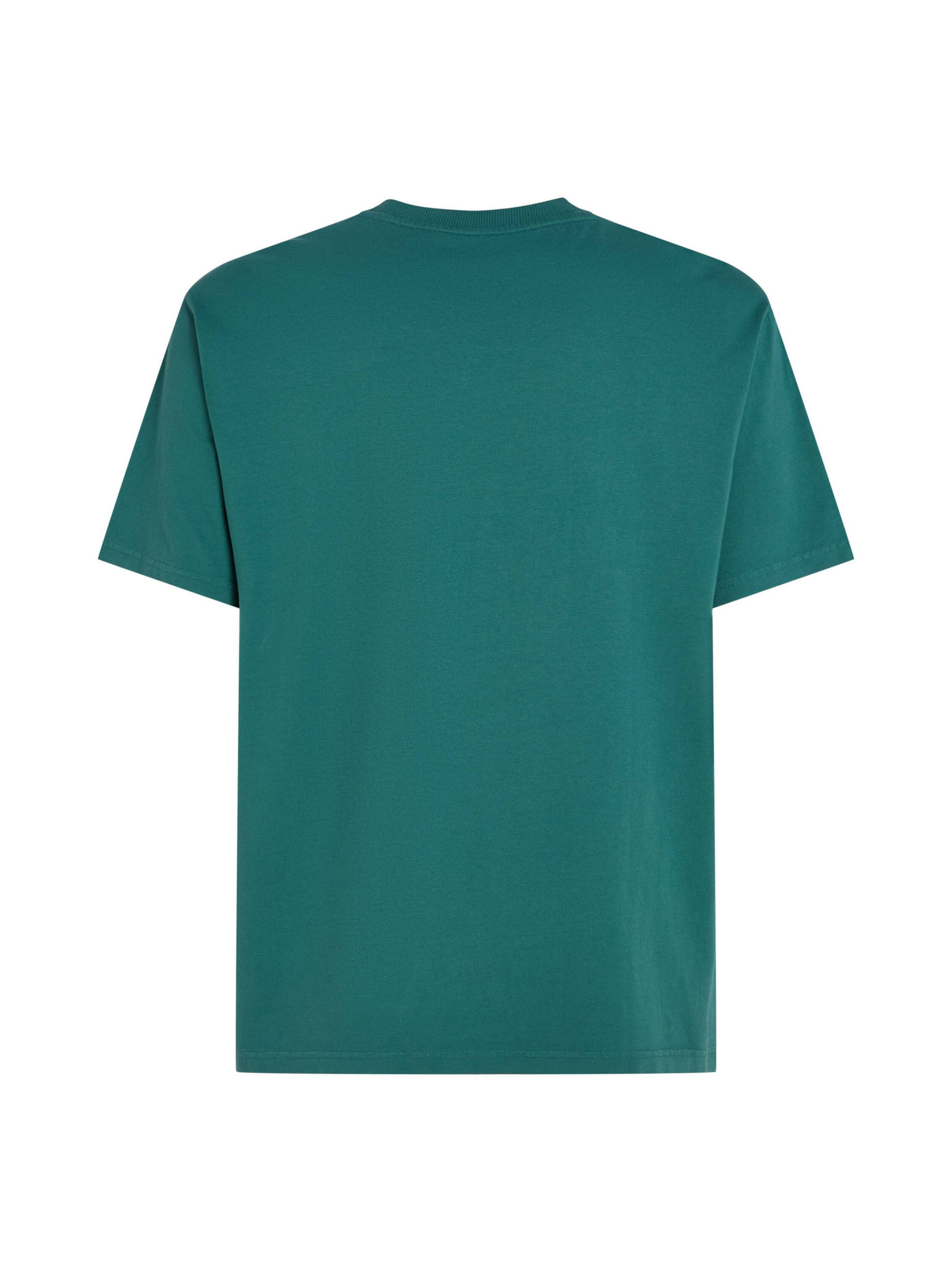 O'NEILL T-Shirt 'O'riginals' in Grün