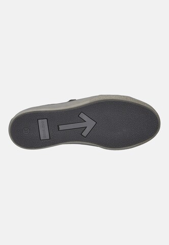 JOSEF SEIBEL Sneakers laag 'Claire' in Grijs