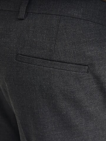 JACK & JONES Regular Bandplooibroek 'RBUSHWICK' in Grijs