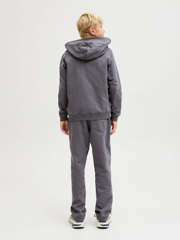 Jack & Jones Junior Regular Trousers in Grey