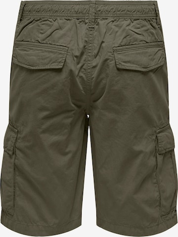 Regular Pantalon cargo 'LOC' Only & Sons en vert