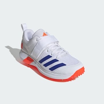 Chaussure de sport 'Adipower Vector 20' ADIDAS PERFORMANCE en blanc