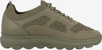 GEOX Sneaker low ' D Spherica A ' in Grün