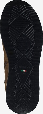Nero Giardini High-Top Sneakers in Brown