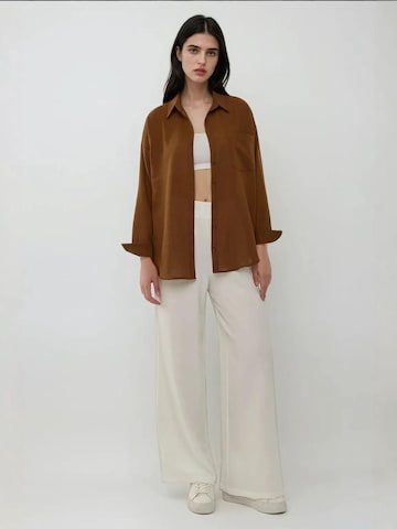 Camicia da donna di Hiccup in marrone