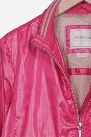 GEOX Jacket & Coat in L in Pink