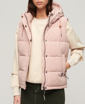 Gilet 'Everest' Superdry en rose : devant