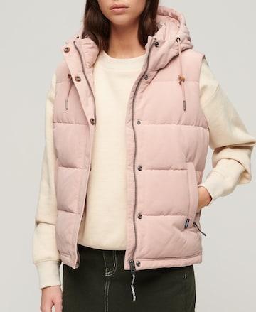 Superdry Vest 'Everest' in Pink: front