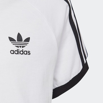 ADIDAS ORIGINALS - Camiseta 'Adicolor 3-Stripes' en blanco