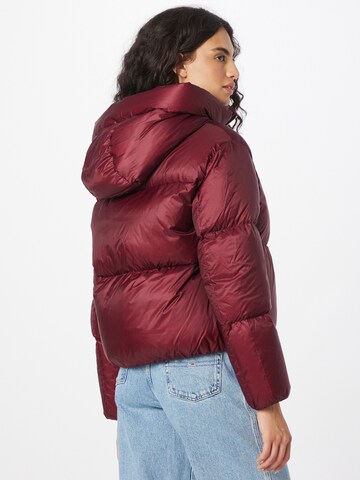 TOMMY HILFIGER Winter Jacket in Red