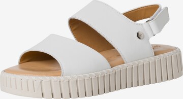 TAMARIS Sandals in White: front