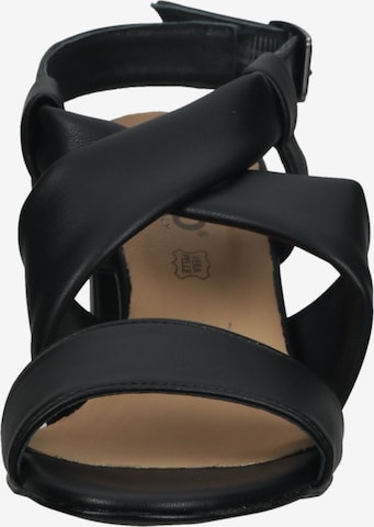 Sandales IGI&CO en noir