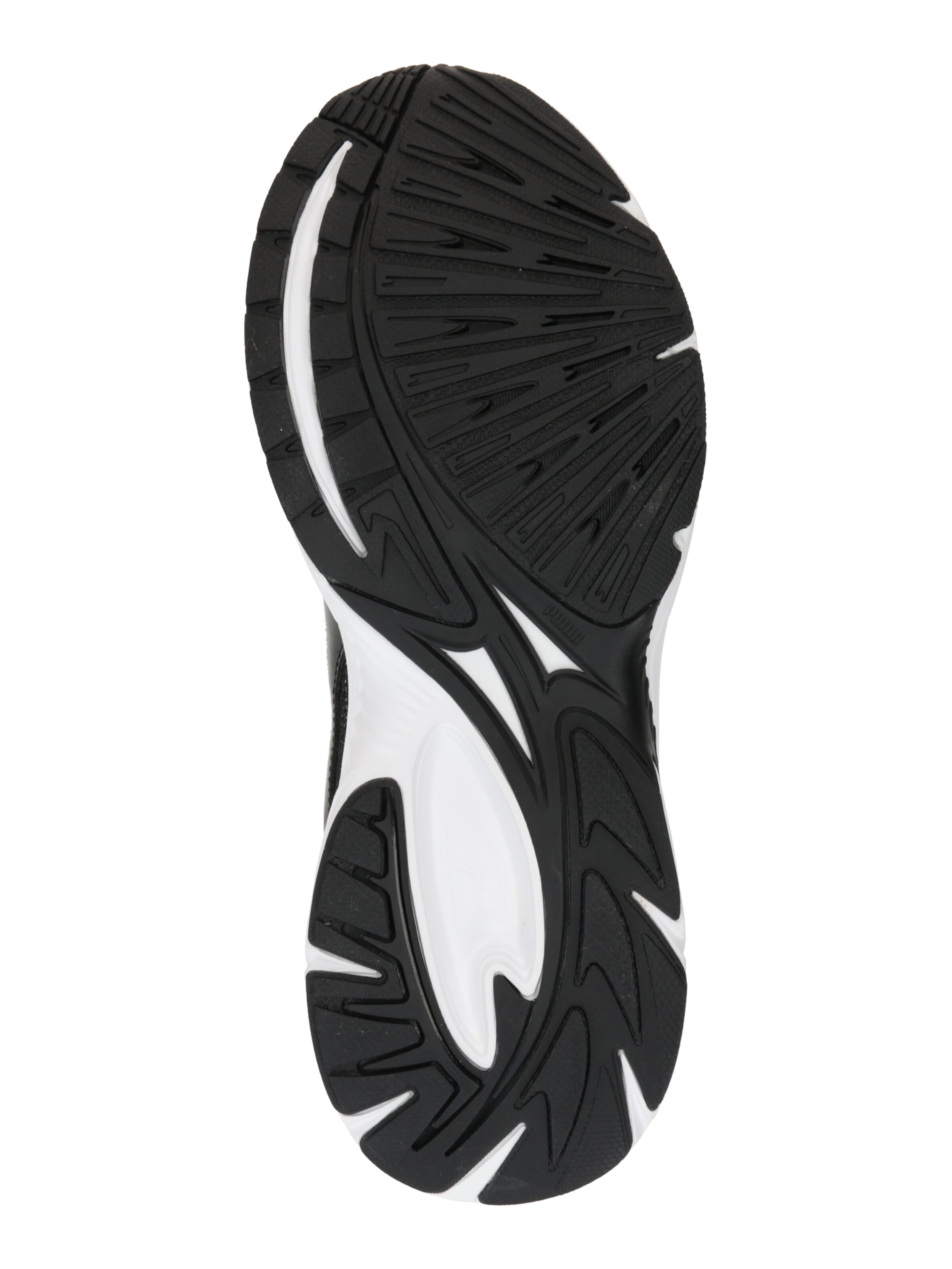 PUMA Nizke superge 'Morphic Base' | črna barva