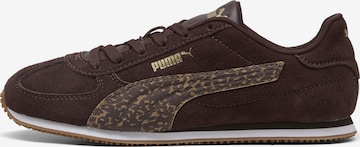 Baskets basses 'ST Track Feline' PUMA en marron : devant