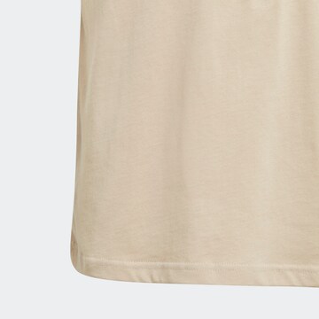 ADIDAS ORIGINALS T-Shirt 'Adicolor' in Beige