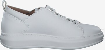 Alexander Smith Sneakers 'Wembley' in White
