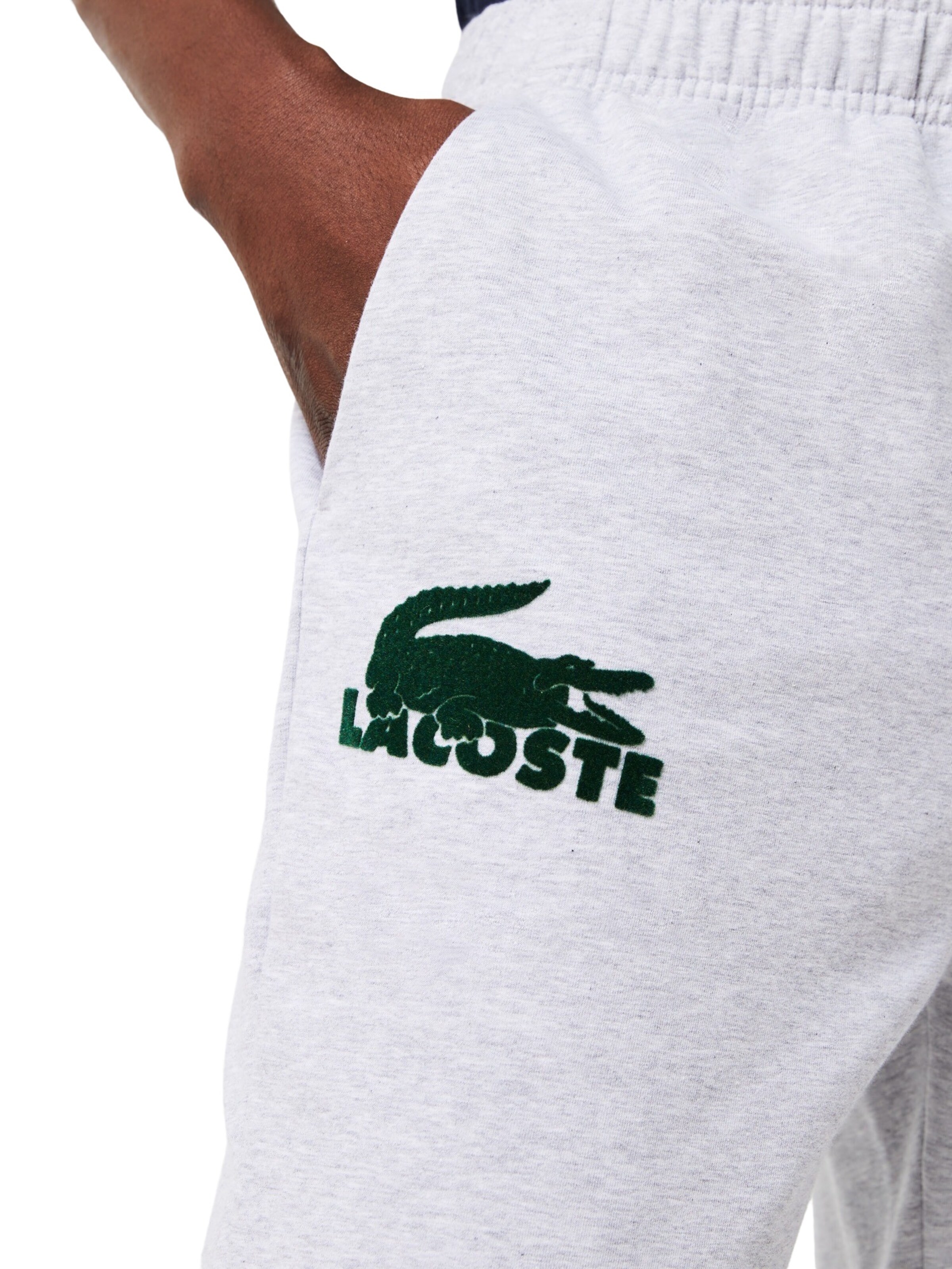LACOSTE Tapered Hose in Grau