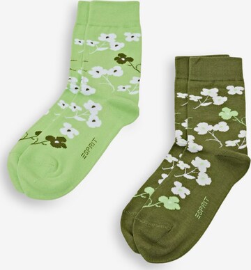 ESPRIT Sokken in Groen: voorkant