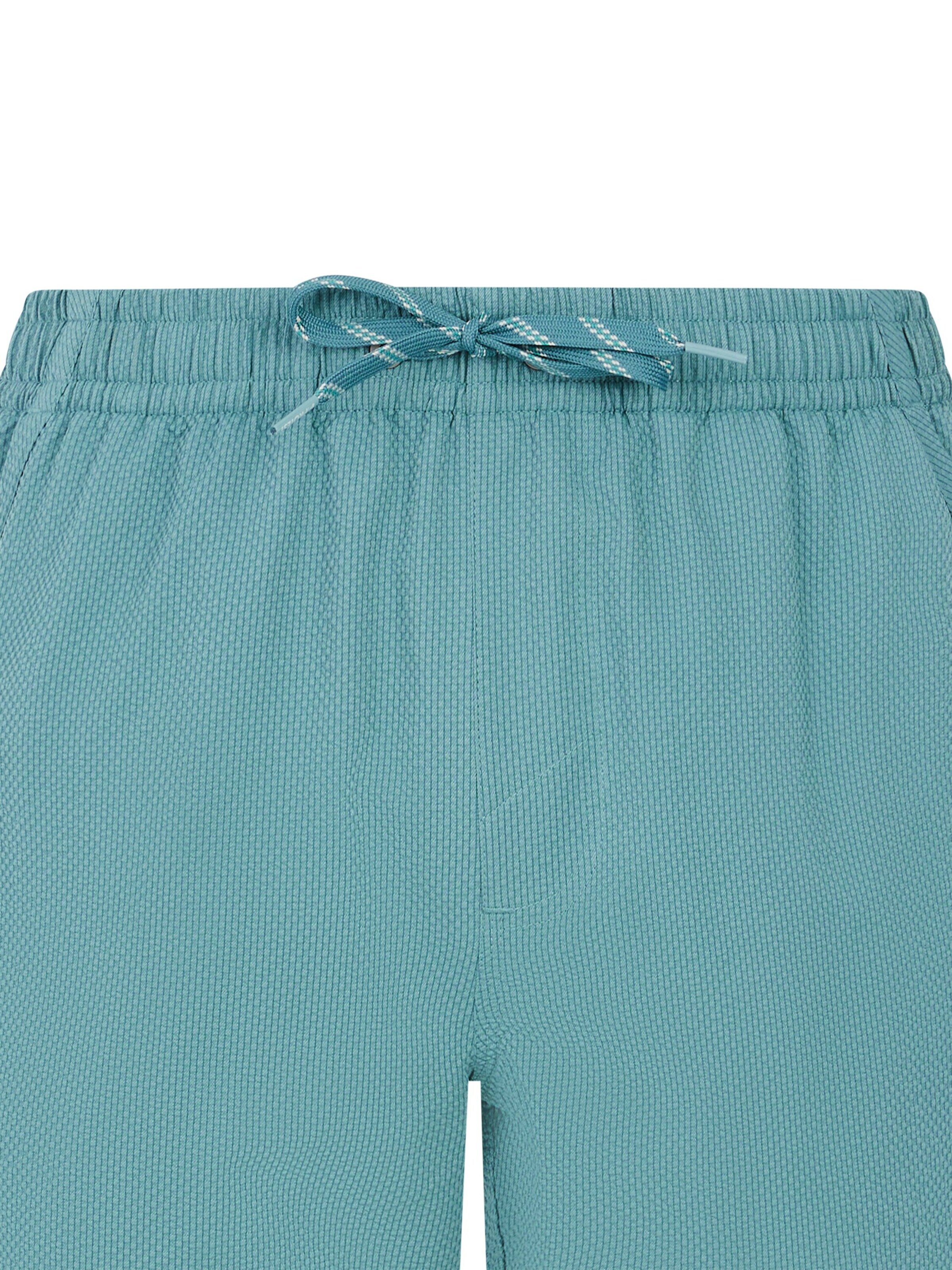 PROTEST Board Shorts 'PRTWytona' in Green