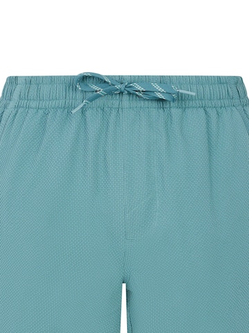 PROTEST Board Shorts 'PRTWytona' in Green