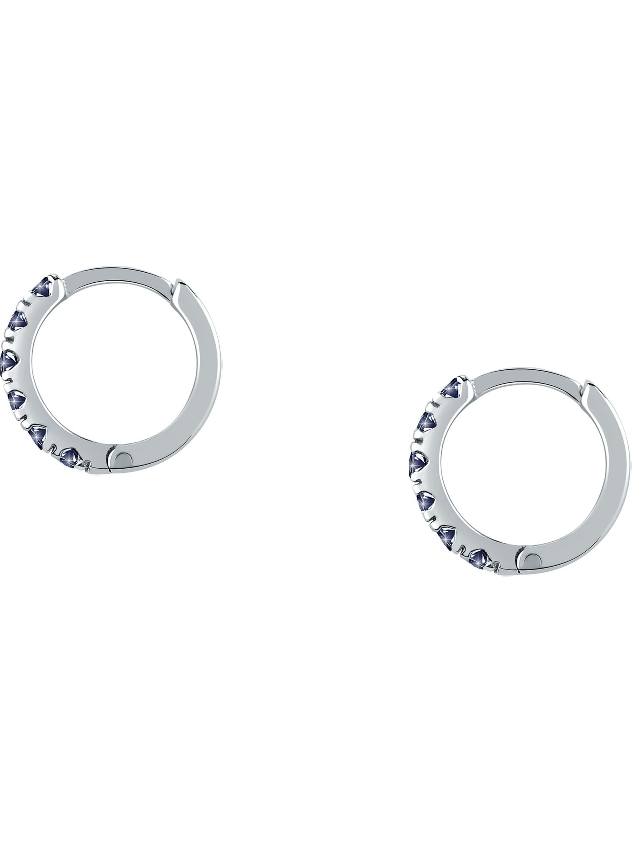 FAVS Earrings in Silver