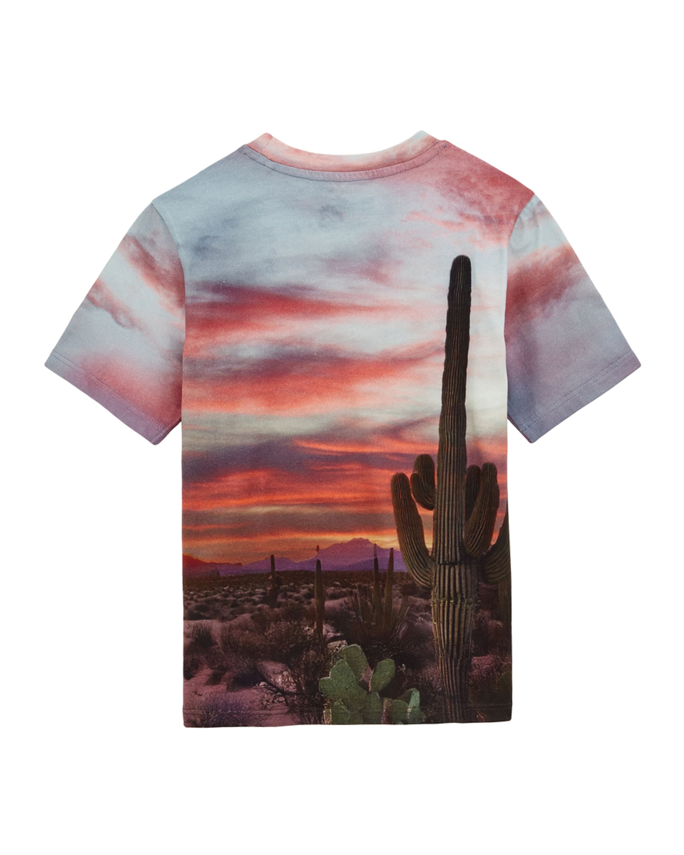 WE Fashion Shirt in Pink: front