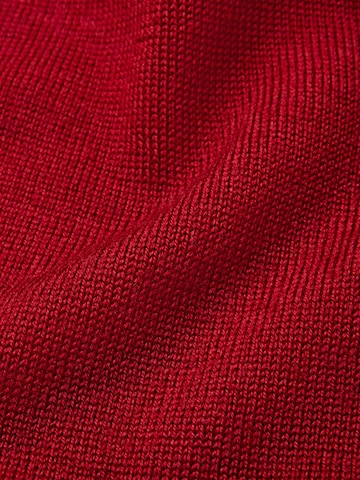 FALKE Pullover 'Pure Merino Wool' in Rot