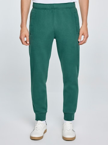 BIG STAR Tapered Trousers 'Kersyn' in Green: front
