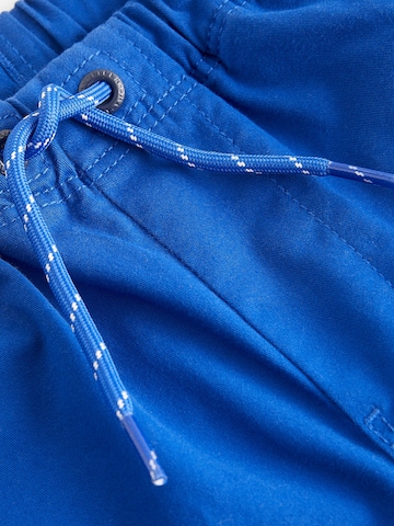 Next Regular Hose in Blau