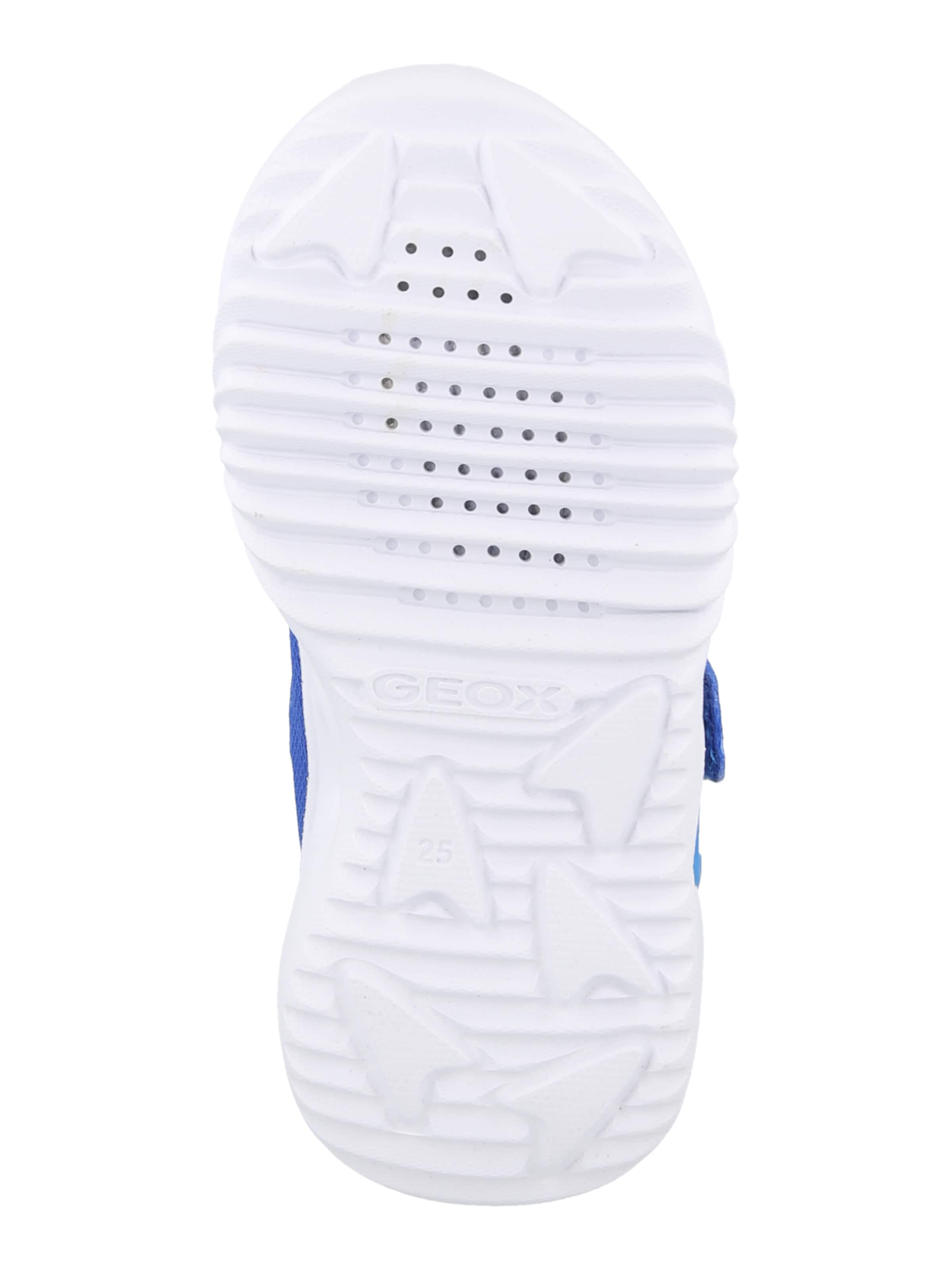 GEOX Sneaker 'ASSISTER' in Blau