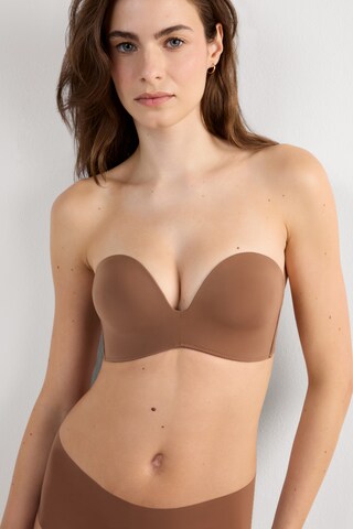 INTIMISSIMI Bandeau Bra 'Laura' in Brown: front