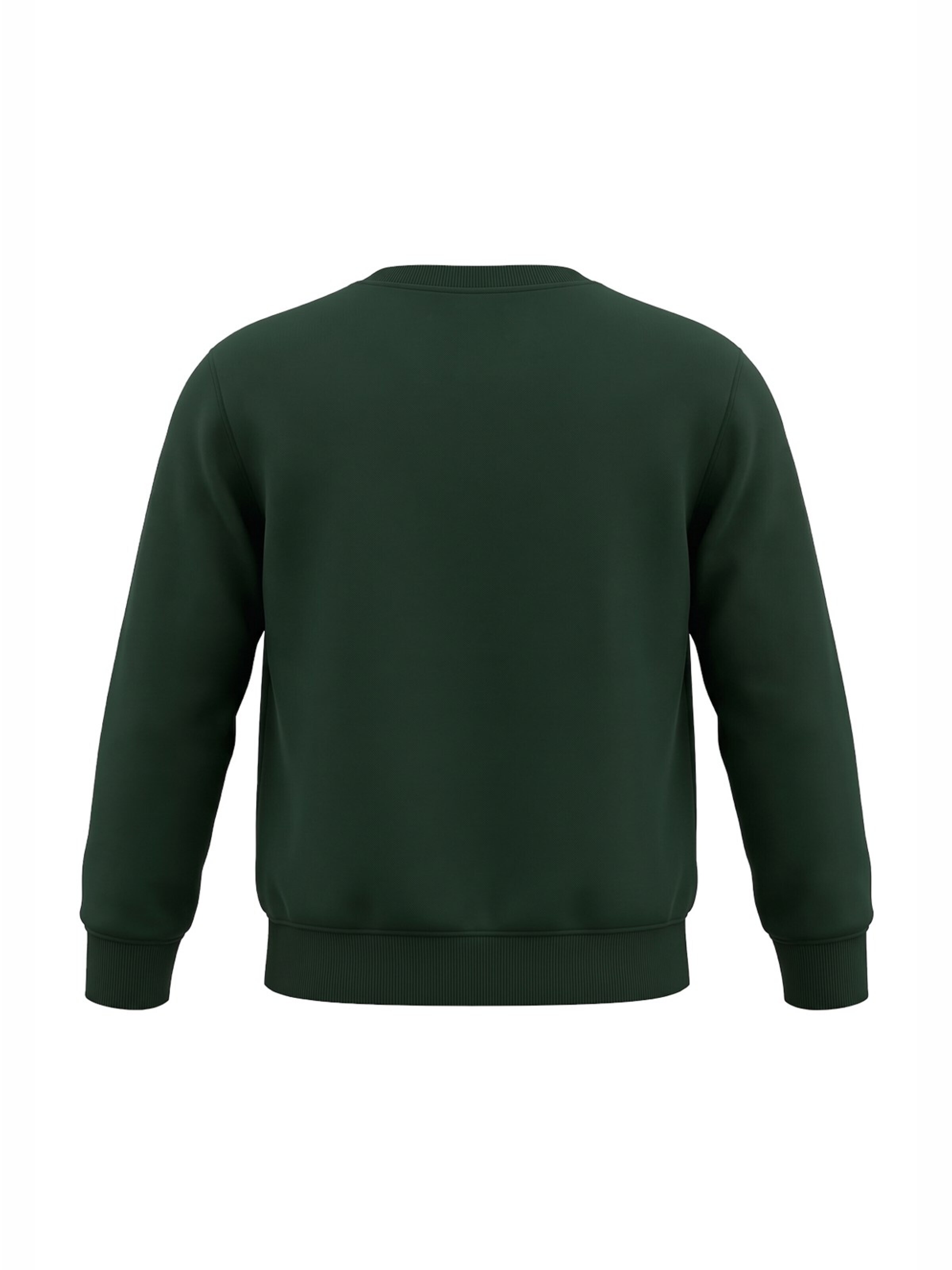 BARROW Sweatshirt in Groen