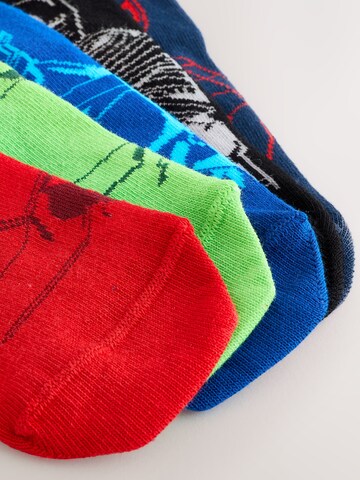 Chaussettes Next en mélange de couleurs