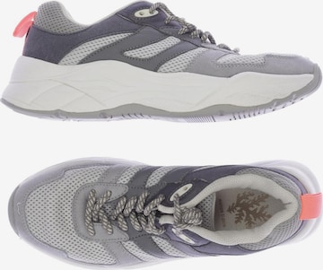 MAISON SCOTCH Sneakers & Trainers in 39 in Grey: front