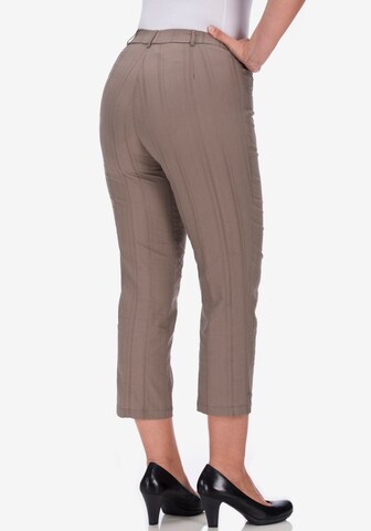 KjBRAND Regular Pants in Brown