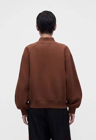 Felpa 'Brooklyn Fleece' di Jordan in marrone: dietro