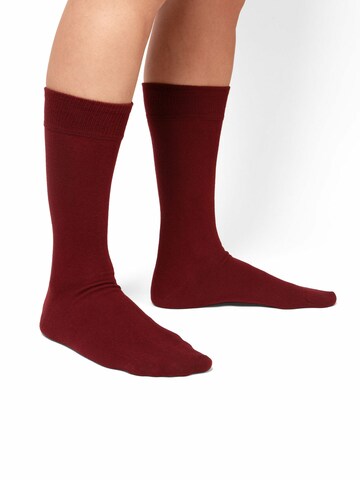 DillySocks Socken in Rot: Vorderseite