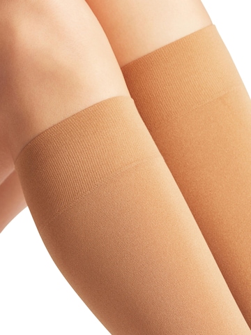 FALKE Overknee Strümpfe 'Seidenglatt' in Beige