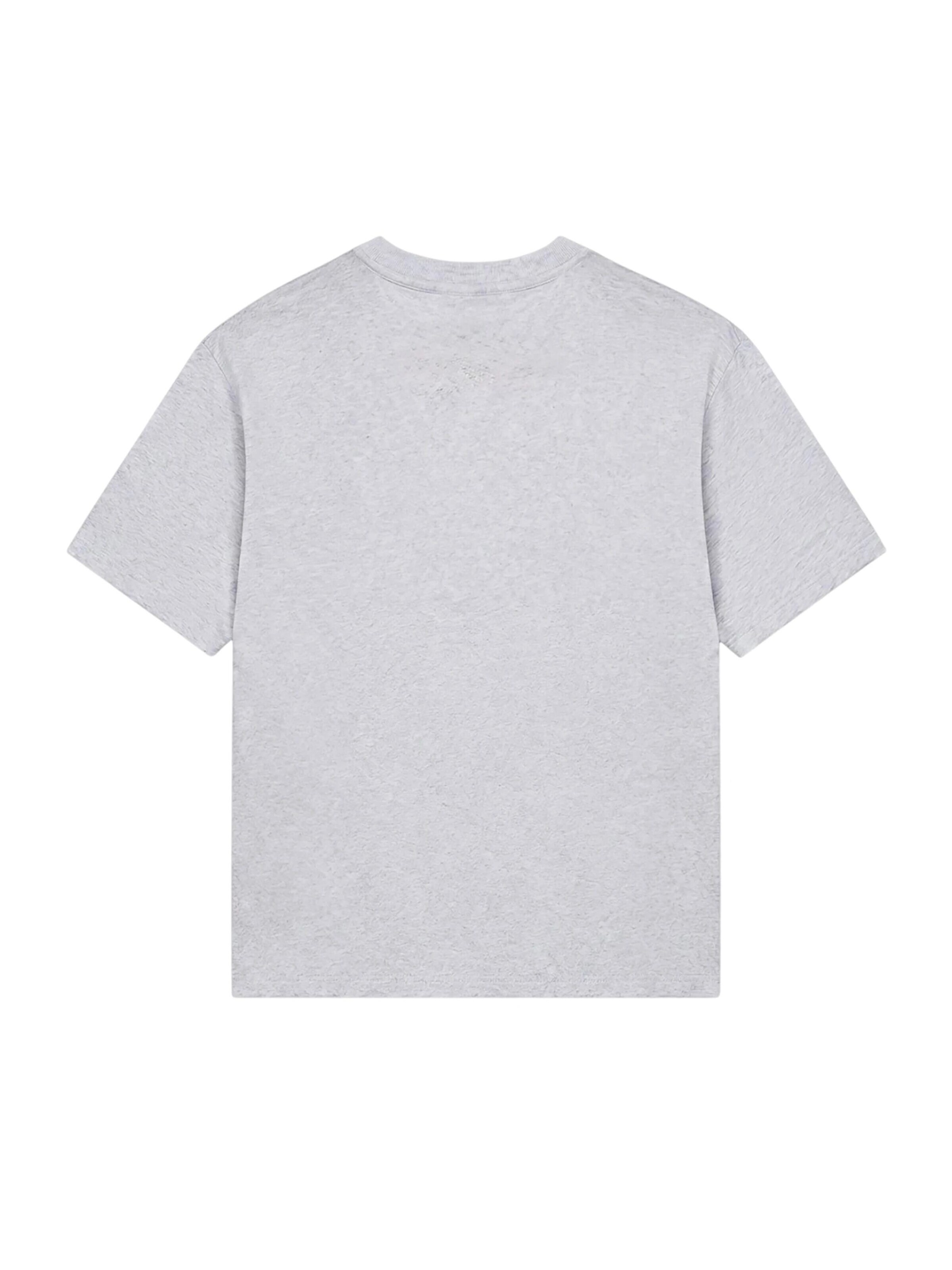 Colucci Shirt in Grey