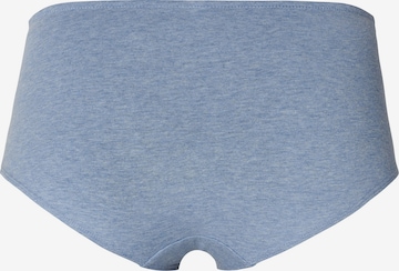 Noppies Panty in Blau