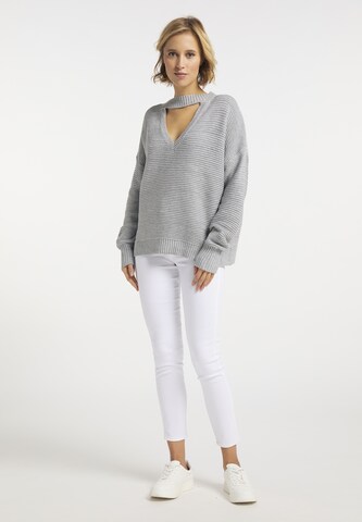 usha BLUE LABEL Sweater in Grey