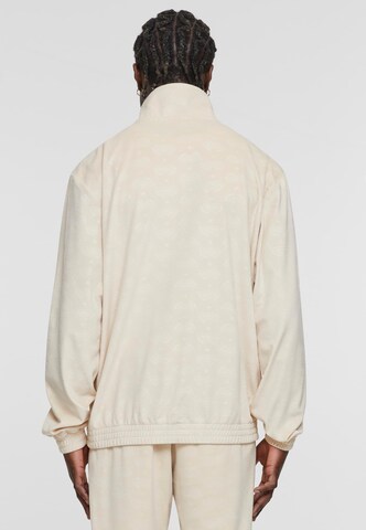 SOUTHPOLE Zip-Up Hoodie in Beige