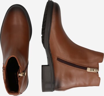 TOMMY HILFIGER Ankle Boots in Braun