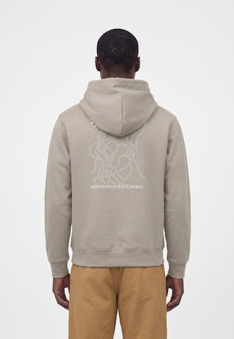 Sweat-shirt 'NSE SLOPES' THE NORTH FACE en gris