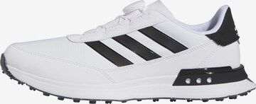 Chaussure de sport ADIDAS PERFORMANCE en blanc : devant